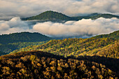 Early morning spring view of mountains and mist, from Clingmans Dome area, Great Smoky Mountains National Park, North Carolina