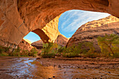 Jacob Hamblin Arch von unten gesehen unter dem angrenzenden riesigen Sandstein in Coyote Gulch, Glen Canyon National Recreation Area, Utah.