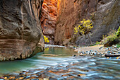 Zion Canyon The Narrows, Zion-Nationalpark, Utah.