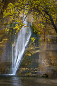 USA, Utah, Capital Reef National Park. Waterfall and tree overlooking pool.