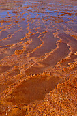 USA, Utah. Crystal Geyser, a cold water geyser, travertine geological formation, near Green River.