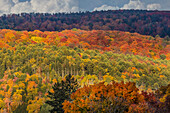 USA, Vermont, Peacham. Herbstliche Waldlandschaft.