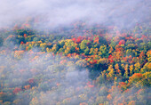 USA, Vermont. Overview of wispy clouds and forest in autumn foliage.