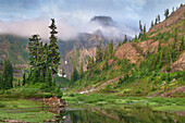 Table Mountain, Heather Meadows, Mount Baker Snoqualmie National Forest. North Cascades, Washington State