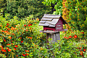 USA, Bundesstaat Washington, Palouse, Colfax. Rotes Vogelhaus auf einem Zaun sitzend.