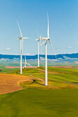 USA, Washington State, Palouse. Oakesdale. White wind turbines, windmills.