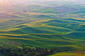 USA, Washington State, Palouse, Colfax. View from Steptoe Butte.