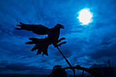 USA, Washington State, Palouse, Colfax. weathervane. Bird.