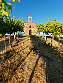 Red Willow Vineyards with stone chapel. (PR)