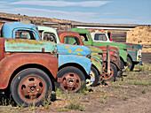 Row of old trucks in a field in the Palouse.