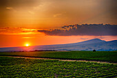 USA, Bundesstaat Washington, Red Mountain. Sonnenuntergang über der Kiona Winery and Vineyards am Red Mountain. (Nur für redaktionelle Zwecke)