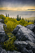 USA, West Virginia, Dolly Sods Wilderness Area. Sunrise on mountain boulders and forest.
