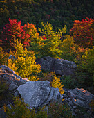 USA, West Virginia, Blackwater Falls State Park. Sonnenuntergang an einem Aussichtspunkt in den Bergen.