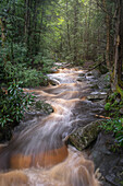 USA, West Virginia, Blackwater Falls State Park. Rapids on Blackwater River.