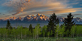USA, Wyoming. Panoramic of Teton Mountains with Aspen and evergreen trees