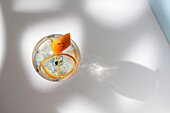 Top view of transparent glass of highball cocktail decorated with citrus fruit zest and clove against shadows in sunlight
