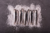 Draufsicht auf kleine Anchovis, die in einer Reihe auf Salz auf einem schwarzen Tisch serviert werden