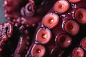 Closeup of fresh octopus tentacles with red suckers placed on dark table