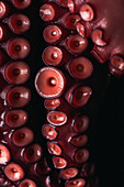 Nahaufnahme von frischen Oktopus-Tentakeln mit roten Saugnäpfen auf einem dunklen Tisch