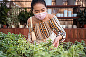 Junge ethnische Einkäuferin mit Schutzmaske berührt das Laub einer tropischen Grünpflanze in einem Gartengeschäft