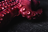 Nahaufnahme von frischen Oktopus-Tentakeln mit roten Saugnäpfen auf einem dunklen Tisch