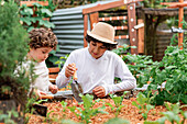 Jugendlicher Junge zeigt seinem Bruder, wie man mit einer Schaufel gärtnert, während er im Garten auf dem Land arbeitet