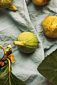 Reife süße grüne Feigen, frisch geerntet von einem heimischen Baum, auf dem pastellblauen Tischtuch. Gesundes und biologisches Obst. Auch bekannt als reife weiße Feigen
