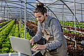 Male farmer examining rows of lettuce growing on hydroponic shelves and making statistic on netbook in spacious horticultural glasshouse
