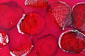 Scheiben geschnittener frischer roter Beete auf nasser heller fuchsiafarbener Oberfläche als abstrakter Hintergrund