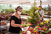 Weibliche Käuferin in Stoffmaske wählt Topfpflanze mit blühenden Blumen gegen Partner mit Wacholderbaum in Wagen in Gartengeschäft