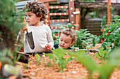 Cute curly haired curious brothers with spade working in garden among seedlings in countryside
