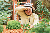 Müde Gärtnerin wischt sich den Schweiß von der Stirn, während sie einen Setzling im Gartenbeet eines Bauernhofs pflanzt
