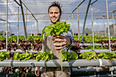Lächelnder Landwirt hält Salatsetzling mit Wurzeln bei der Arbeit im Hydrokultur-Gewächshaus
