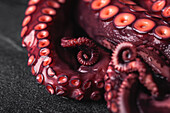 High angle closeup of fresh octopus tentacles with red suckers placed on dark table