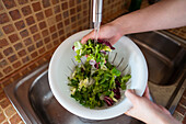 From above anonymous female washing fresh lettuce leaves in colander under running water while cooking healthy food in kitchen at home