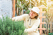 Positive female gardener wearing hat sweater and jeans touching green branches of plant growing in garden bed in farm