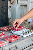 Side view of attentive female gardener measuring weight of ripe raspberries on digital scales in van trunk