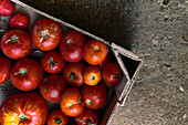 Top view closeup of a box of red tomatoes on the ground