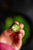 Unkenntlich gemachte Person demonstriert reife Okra über einem Tisch mit frischem Gemüse auf einem Teller
