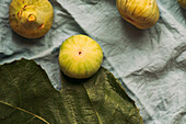 Reife süße grüne Feigen, frisch geerntet von einem heimischen Baum, auf dem pastellblauen Tischtuch. Gesundes und biologisches Obst. Auch bekannt als reife weiße Feigen