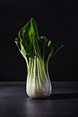 Healthy fresh bok choy cabbage leaf vegetable placed on black table against dark background