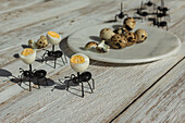 Von oben von Spielzeug schwarze Ameisen in der Nähe von Teller mit Wachteleiern auf Holztisch im Sonnenlicht platziert