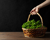 Crop hand holding basket with green leaves of fresh lettuce placed on table on black background