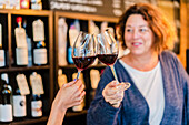 Anonyme Frau mit Maniküre stößt mit Gläsern mit aromatischem Rotwein an, während ein unscharfer, fröhlicher Freund vor einem Regal mit Weinflaschen in einem Restaurant steht