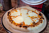 Frische hausgemachte dampfend heiße gebackene Pizza mit geschmolzenem Mozzarella-Käse und Soße und knusprigem Rand auf Teller in heller Küche serviert