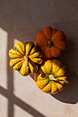 Top view of fresh ripe pumpkins placed on marble beige table in kitchen in sunlight