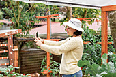 Side view of smiling female gardener standing among plants growing in garden beds and taking self portrait on cellphone