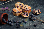 Hohe Winkel von süßen hausgemachten Muffins mit Sahne und Blaubeeren in der Nähe von Löffel Minzblatt und Blume und bereit für Dessert