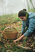 Female picking edible wild saffron milk cap mushroom from ground covered with fallen dry leaves and putting into wicker basket