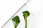 Top view of fresh broccoli sprig representing concept of healthy vegetarian food on white geometric surface